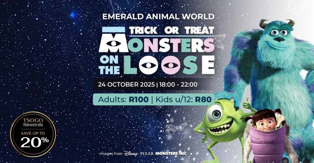 Trick or Treat Night Walk