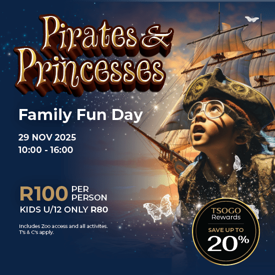 Pirates & Princesses